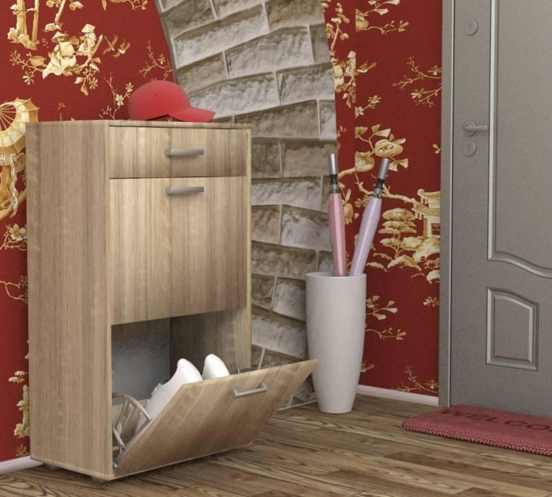 Фото Обувница ОБ-2 от производителя Пирамида в Черноморском по цене 5&nbsp;060 ₽