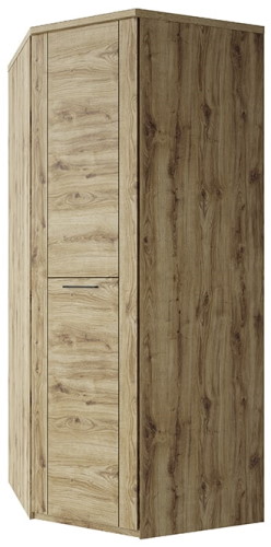 Фото Шкаф 1DG Дорсет (Doorset) (95) угловой от производителя Анрэкс в Черноморском по цене 29 220 ₽