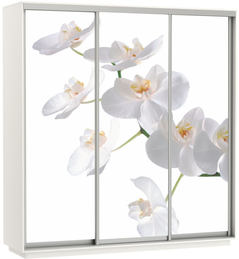 Фото Шкаф-купе Экспресс Трио Фото (2,4х0,6х2,4 - 3 двери) от производителя Мебельная компания Е1 в Черноморском по цене 63&nbsp;870 ₽