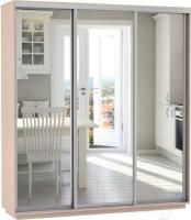 Фото shkaf-kupe-v-prikhozhuyu шкаф-купе экспресс трио экспенс (2,4х0,6х2,2 - 3 двери) производитель Мебельная компания Е1