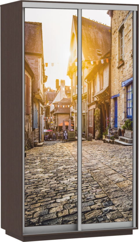 Фото Шкаф-купе Экспресс Дуо Фото (1,2х0,6х2,2 - 2 двери) от производителя Мебельная компания Е1 в Черноморском по цене 31 750 ₽