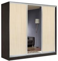 Фото shkaf-kupe-v-prikhozhuyu шкаф-купе оскар 4.5 (2,22х0,6х2,2 - 3 двери) производитель Мебель Маркет