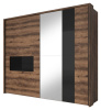 Фото Шкаф-купе-2D typ 19 Indira (2 двери) от производителя Helvetia в Черноморском по цене 120&nbsp;630 ₽
